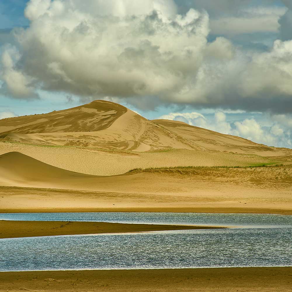 MOTORCYCLE SHERPA - FDR EDITION - MONGOLIA - WILD STEPPES