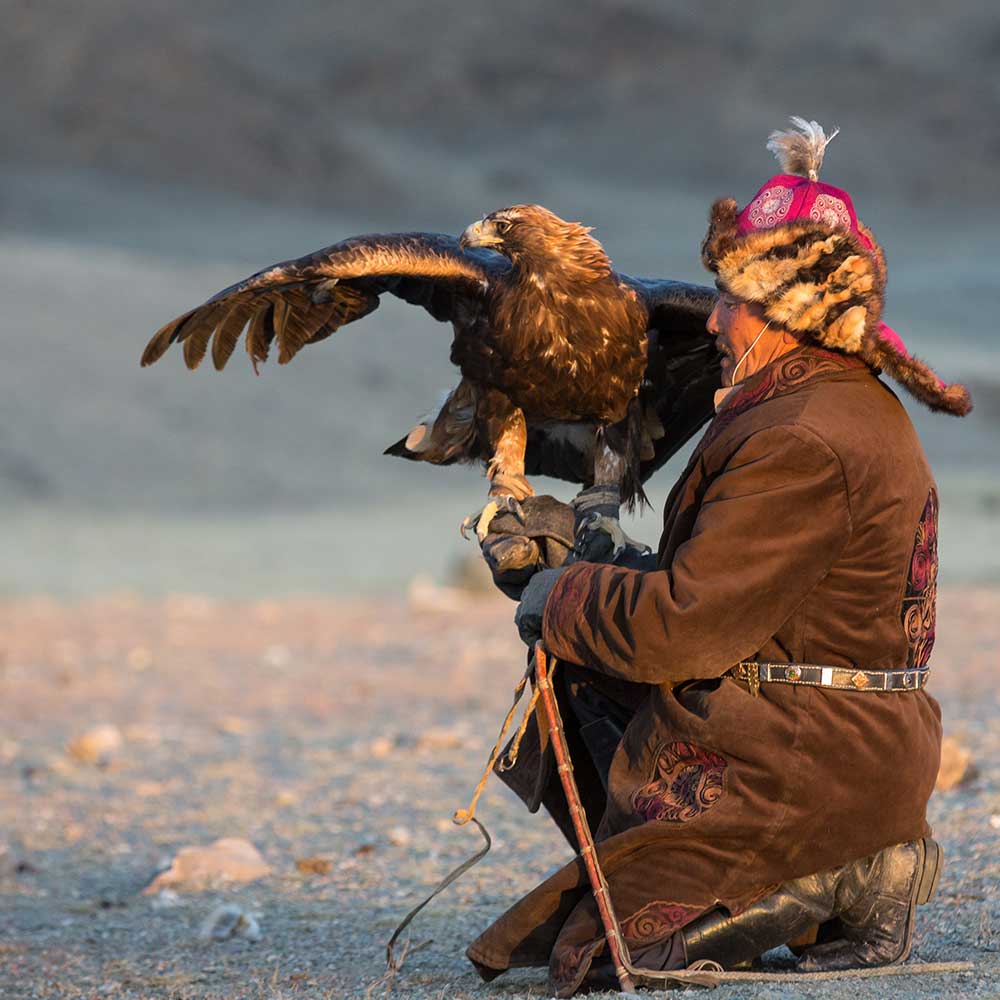 MOTORCYCLE SHERPA - FDR EDITION - MONGOLIA - WILD STEPPES